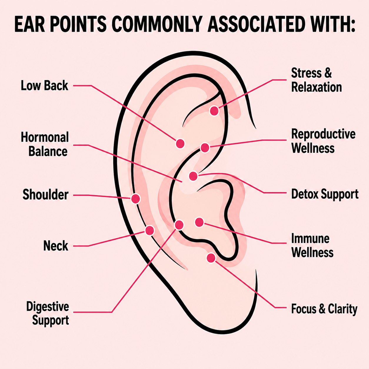 Meridian Ear Seed Kit